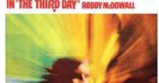 The Third Day (1965) stream