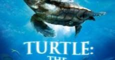 Turtle: The Incredible Journey (2009)