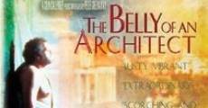 The Belly of an Architect (1987) stream