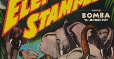 Elephant Stampede (1951)