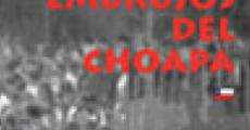 Embrujos del Choapa (1999)
