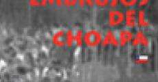 Embrujos del Choapa (1999) stream