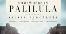 Undeva la Palilula (2012) stream