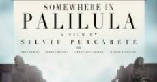 Undeva la Palilula streaming