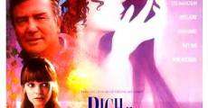 Rich in Love (1992) stream