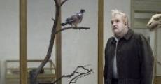 Eine Taube sitzt auf einem Zweig und denkt ?ber das Leben nach
