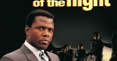 In the Heat of the Night (1967) stream