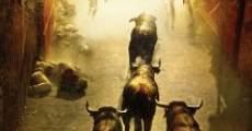 Encierro 3D: Bull Running in Pamplona (2012) stream