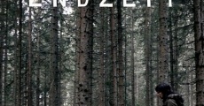 Endzeit (2013) stream