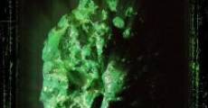 Erotic Green film complet