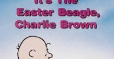 Película Es el sabueso de pascua, Charlie Brown