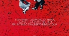 Questa specie d'amore (1972)