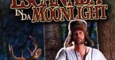 Escanaba in da Moonlight streaming