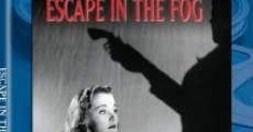 Escape in the Fog (1945) stream