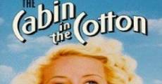 The Cabin in the Cotton (1932) stream