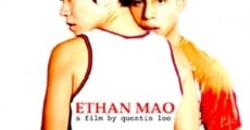 Ethan Mao