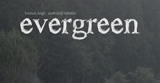 Película Evergreen