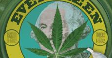 Película Evergreen: The Road to Legalization in Washington