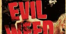 Filme completo Evil Weed