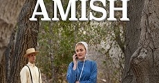 Película La decisión Amish