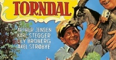 Fætrene på Torndal (1973) stream