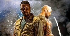 Falcon Rising film complet