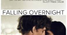 Filme completo Falling Overnight