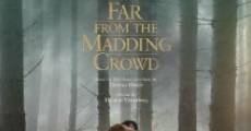 Far from the Madding Crowd (2015)