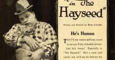 The Hayseed streaming