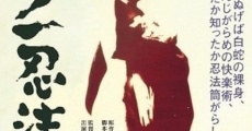 Kunoichi ninpo (1964) stream