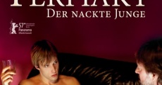 Férfiakt - Der nackte Junge (2006) stream