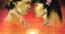 Fiebre de amor (1985)