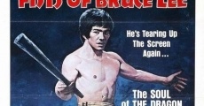 Mit den Fäusten von Bruce Lee