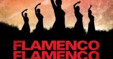 Película Flamenco, Flamenco