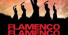 Flamenco, Flamenco streaming