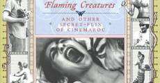 Flaming Creatures (1963) stream