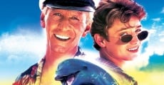 Flipper film complet