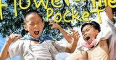 Filme completo Flower in the pocket