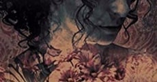 Flowers streaming