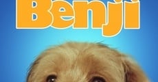 For the Love of Benji streaming