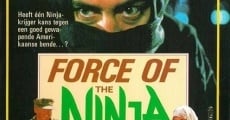 Force of the Ninja film complet