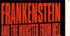 Película Frankenstein y el monstruo del infierno