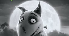 Película Frankenweenie