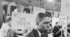 Freedom Summer streaming