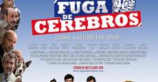 Fuga de cerebros film complet