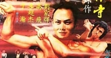 Ver película Fury in the Shaolin Temple