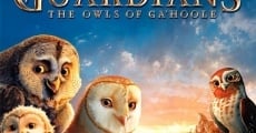 Ver película Ga'Hoole: La leyenda de los guardianes