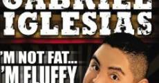 Gabriel Iglesias: I'm Not Fat... I'm Fluffy (2009) stream