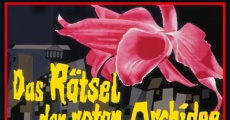 Das Rätsel der roten Orchidee (1962)