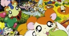 Gekijô ban Tottoko Hamutaro: Hamu hamu rando dai bôken film complet